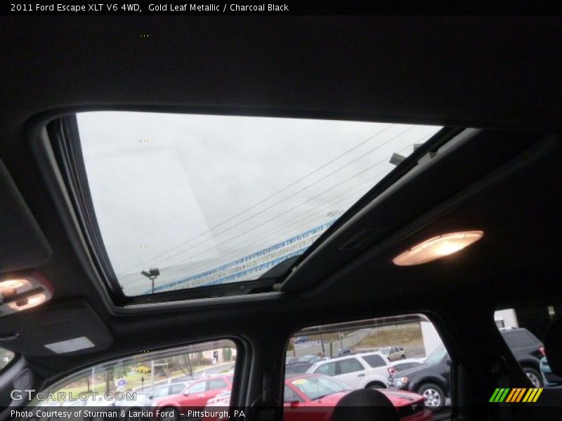 Gold Leaf Metallic / Charcoal Black 2011 Ford Escape XLT V6 4WD