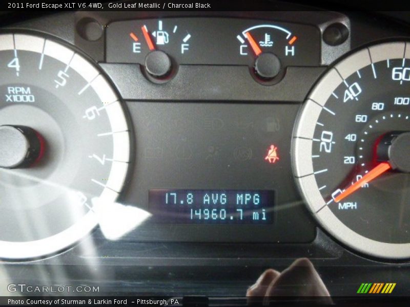 Gold Leaf Metallic / Charcoal Black 2011 Ford Escape XLT V6 4WD