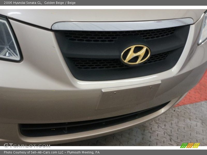 Golden Beige / Beige 2006 Hyundai Sonata GL