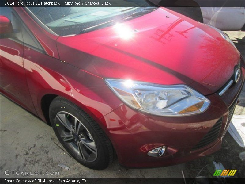 Ruby Red / Charcoal Black 2014 Ford Focus SE Hatchback