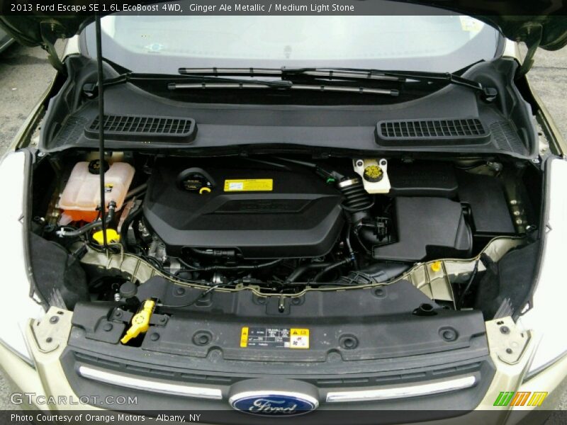 Ginger Ale Metallic / Medium Light Stone 2013 Ford Escape SE 1.6L EcoBoost 4WD