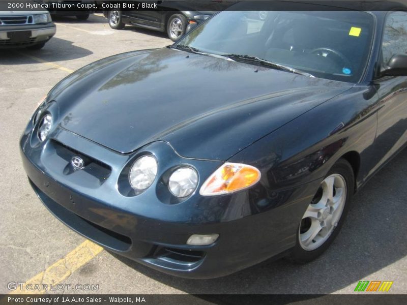 Cobalt Blue / Black 2000 Hyundai Tiburon Coupe