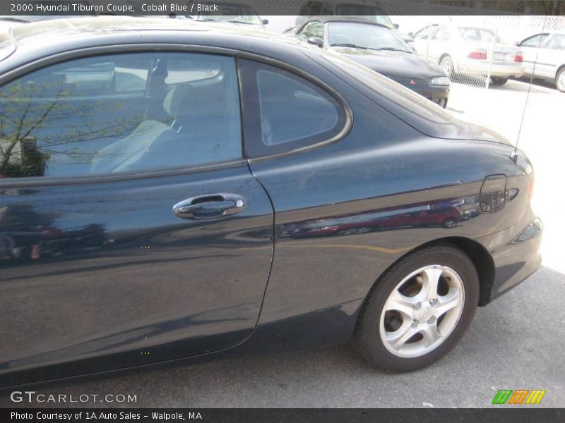 Cobalt Blue / Black 2000 Hyundai Tiburon Coupe