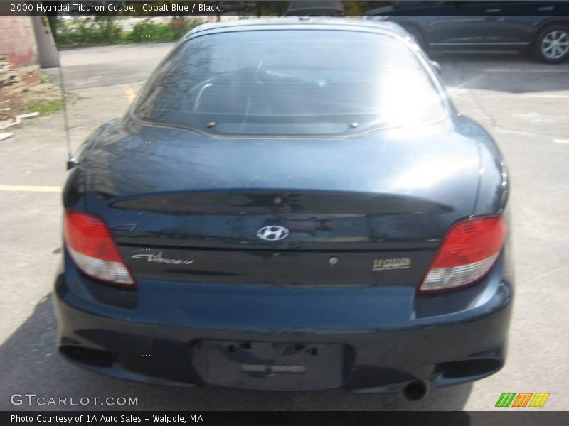 Cobalt Blue / Black 2000 Hyundai Tiburon Coupe