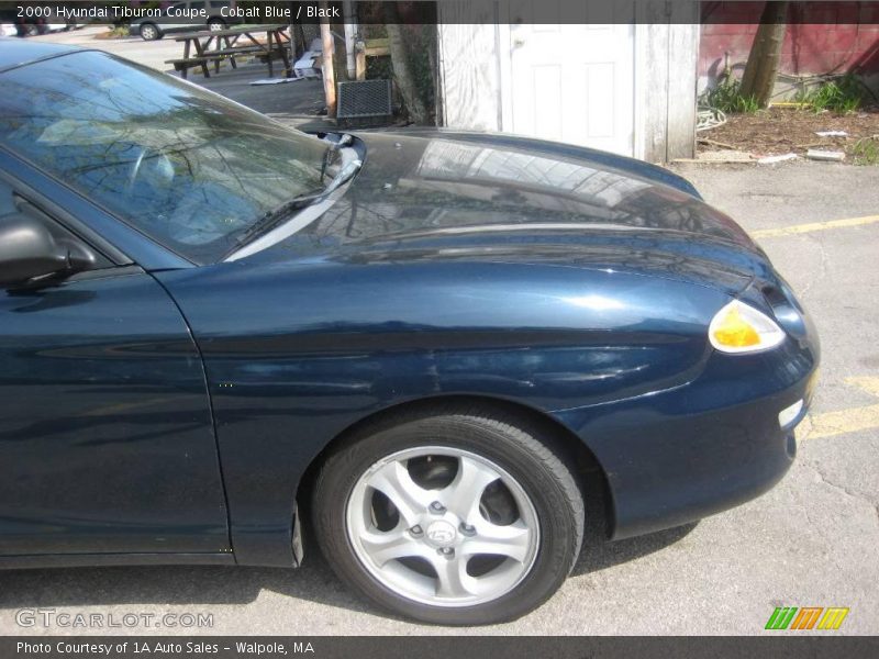 Cobalt Blue / Black 2000 Hyundai Tiburon Coupe