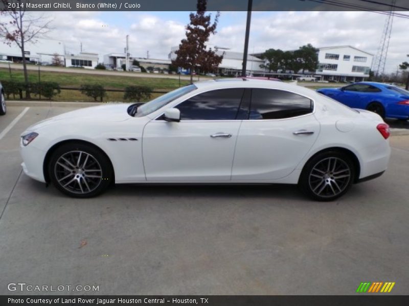  2014 Ghibli  Bianco (White)