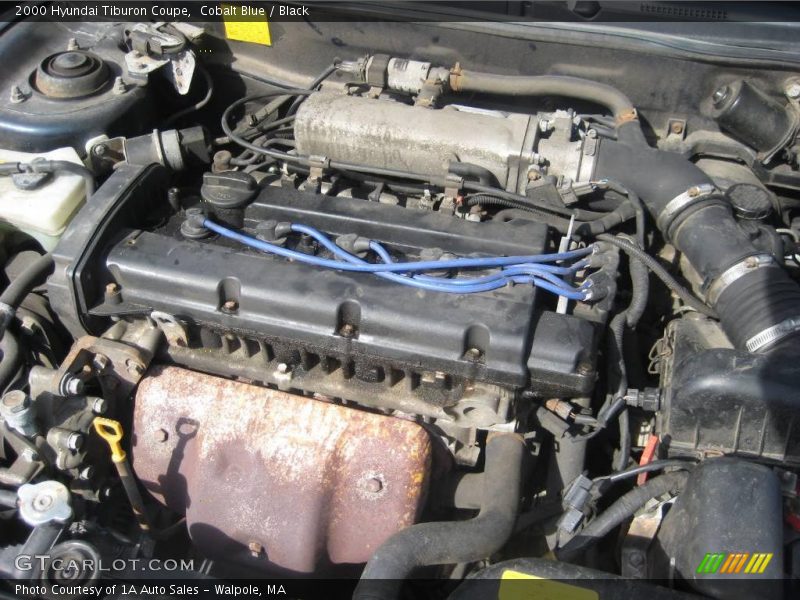 Cobalt Blue / Black 2000 Hyundai Tiburon Coupe