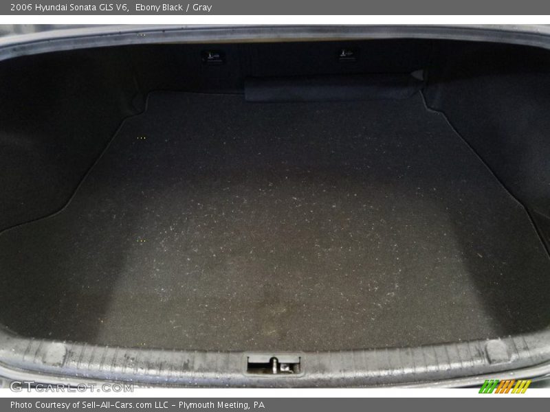 Ebony Black / Gray 2006 Hyundai Sonata GLS V6