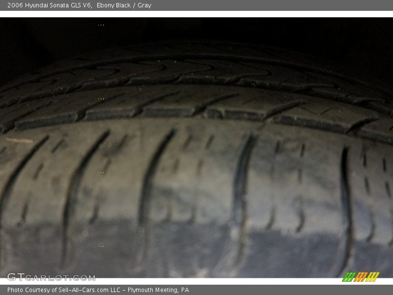 Ebony Black / Gray 2006 Hyundai Sonata GLS V6