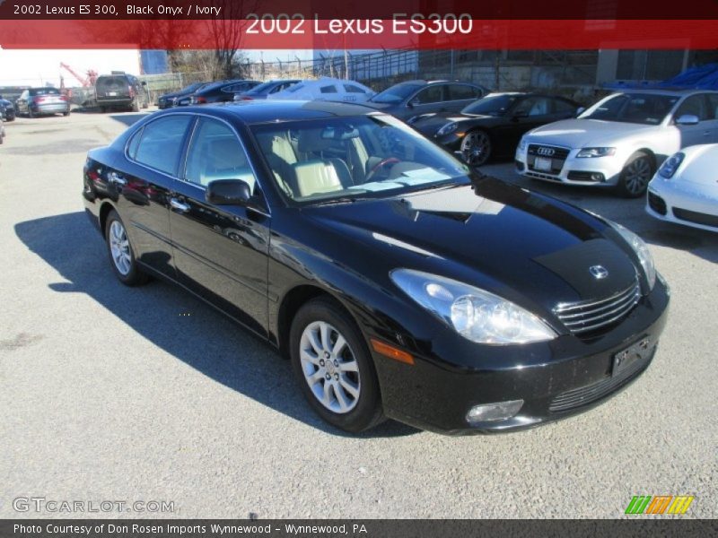 Black Onyx / Ivory 2002 Lexus ES 300