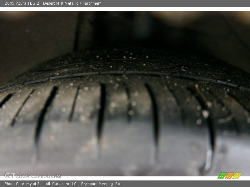 Desert Mist Metallic / Parchment 2005 Acura TL 3.2