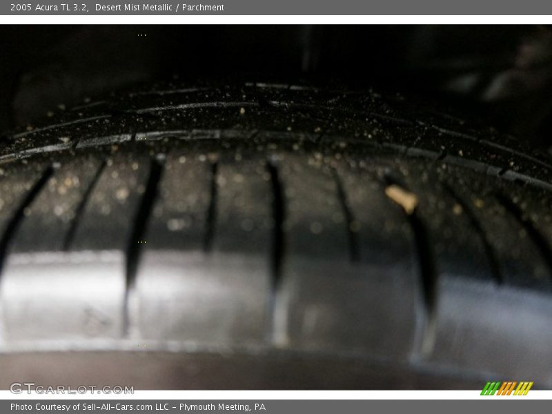 Desert Mist Metallic / Parchment 2005 Acura TL 3.2
