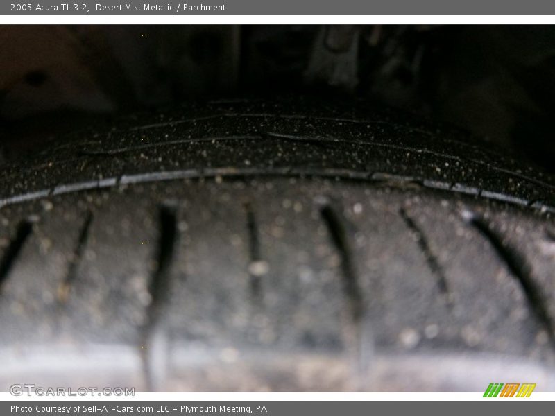 Desert Mist Metallic / Parchment 2005 Acura TL 3.2