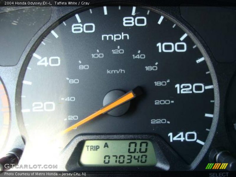 Taffeta White / Gray 2004 Honda Odyssey EX-L
