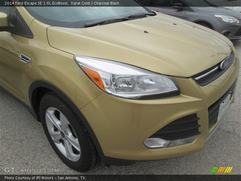 Karat Gold / Charcoal Black 2014 Ford Escape SE 1.6L EcoBoost
