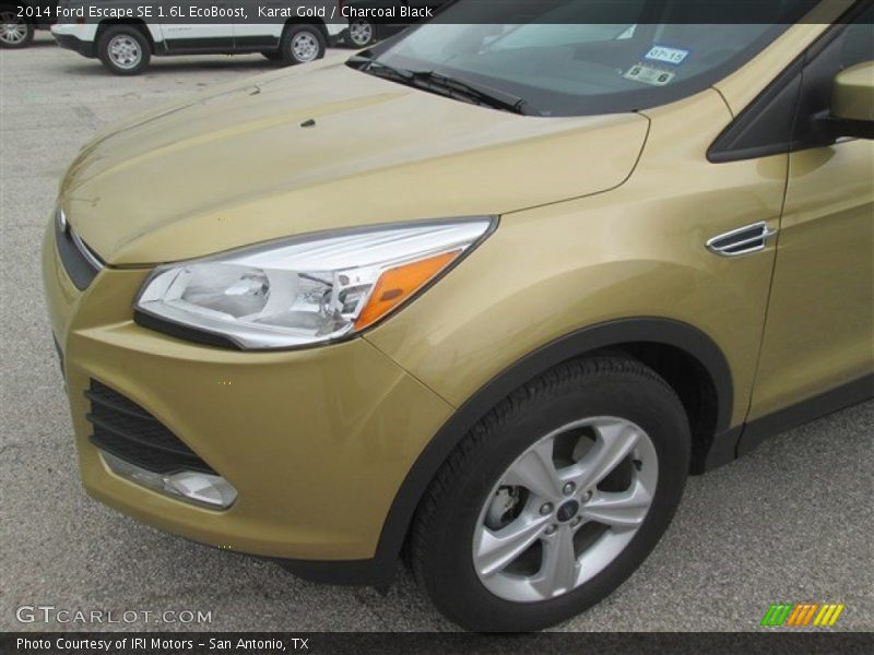 Karat Gold / Charcoal Black 2014 Ford Escape SE 1.6L EcoBoost