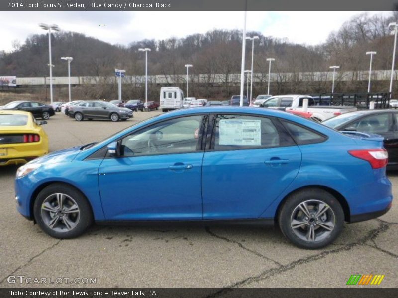 Blue Candy / Charcoal Black 2014 Ford Focus SE Sedan