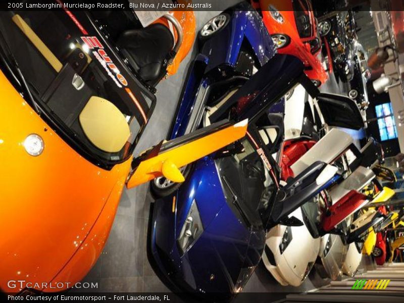 Blu Nova / Azzurro Australis 2005 Lamborghini Murcielago Roadster