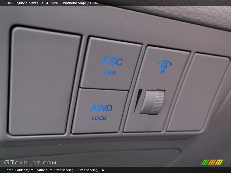 Platinum Sage / Gray 2009 Hyundai Santa Fe GLS 4WD