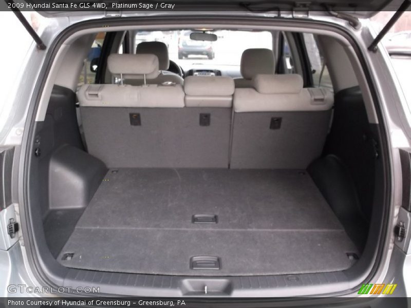 Platinum Sage / Gray 2009 Hyundai Santa Fe GLS 4WD