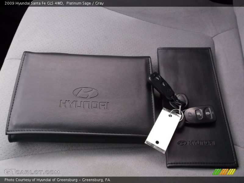 Platinum Sage / Gray 2009 Hyundai Santa Fe GLS 4WD