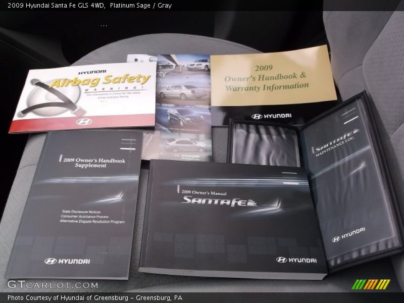 Platinum Sage / Gray 2009 Hyundai Santa Fe GLS 4WD