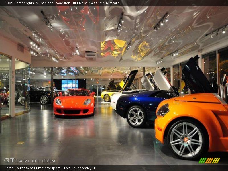 Blu Nova / Azzurro Australis 2005 Lamborghini Murcielago Roadster