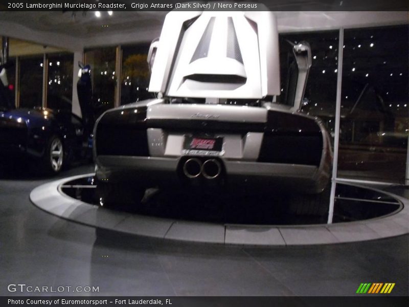 Grigio Antares (Dark Silver) / Nero Perseus 2005 Lamborghini Murcielago Roadster
