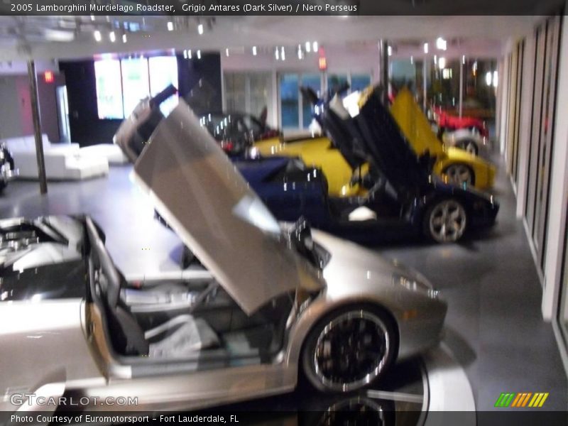 Grigio Antares (Dark Silver) / Nero Perseus 2005 Lamborghini Murcielago Roadster