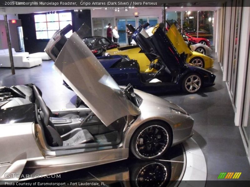 Grigio Antares (Dark Silver) / Nero Perseus 2005 Lamborghini Murcielago Roadster