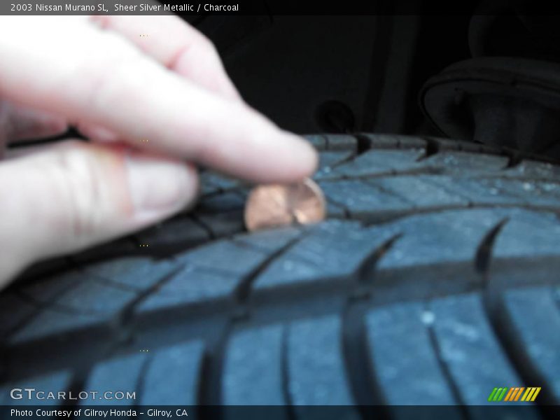 Sheer Silver Metallic / Charcoal 2003 Nissan Murano SL