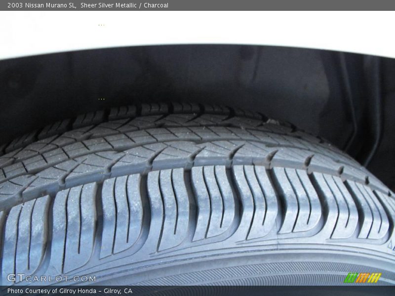 Sheer Silver Metallic / Charcoal 2003 Nissan Murano SL