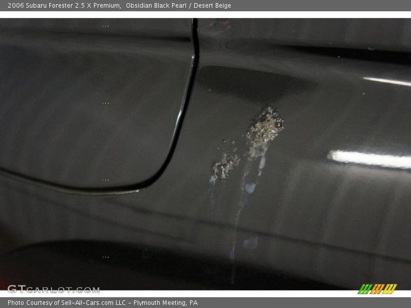 Obsidian Black Pearl / Desert Beige 2006 Subaru Forester 2.5 X Premium