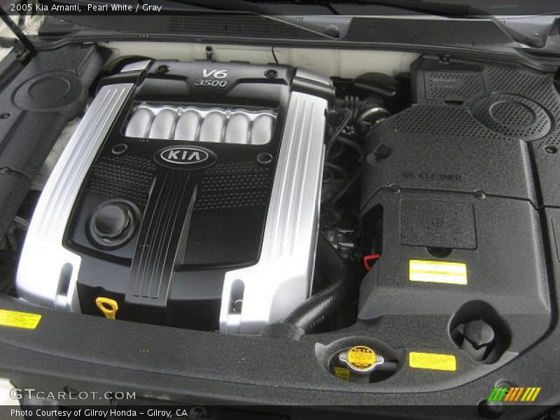 Pearl White / Gray 2005 Kia Amanti