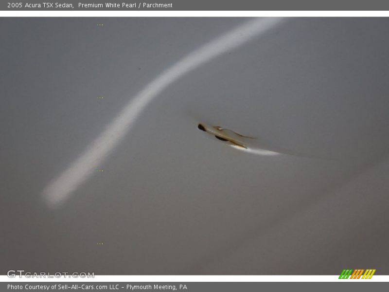 Premium White Pearl / Parchment 2005 Acura TSX Sedan