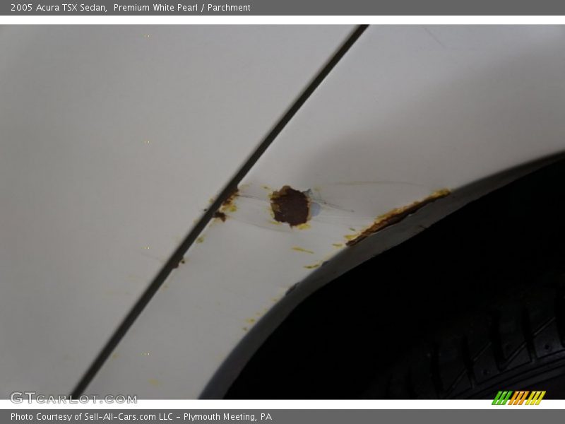 Premium White Pearl / Parchment 2005 Acura TSX Sedan