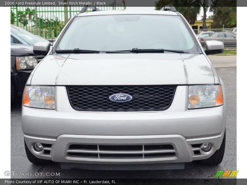 Silver Birch Metallic / Black 2006 Ford Freestyle Limited