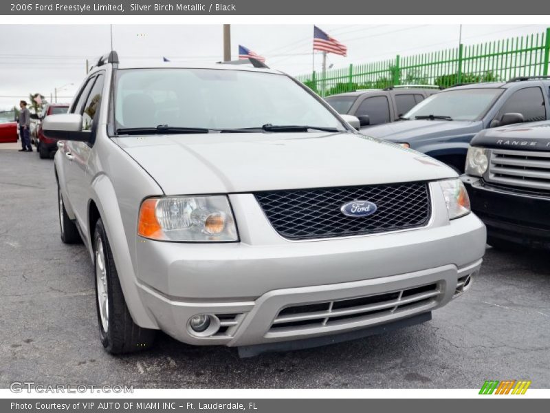 Silver Birch Metallic / Black 2006 Ford Freestyle Limited
