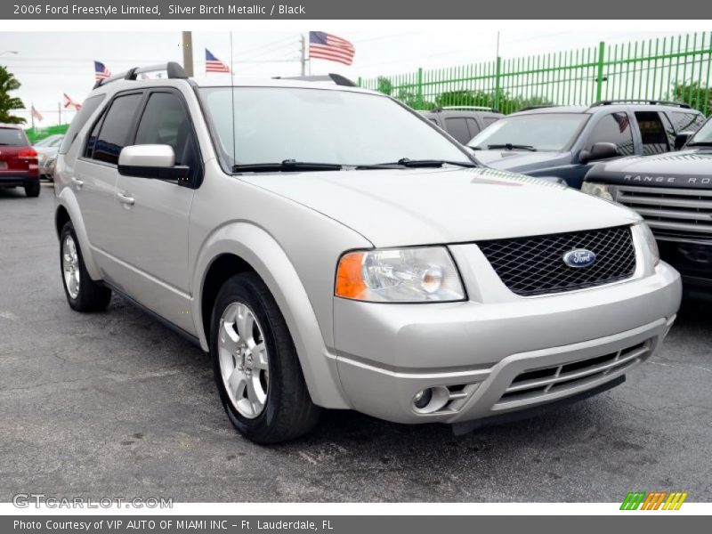 Silver Birch Metallic / Black 2006 Ford Freestyle Limited