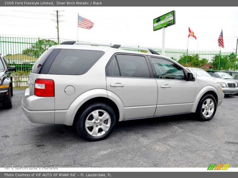 Silver Birch Metallic / Black 2006 Ford Freestyle Limited