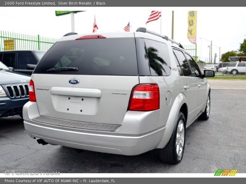 Silver Birch Metallic / Black 2006 Ford Freestyle Limited
