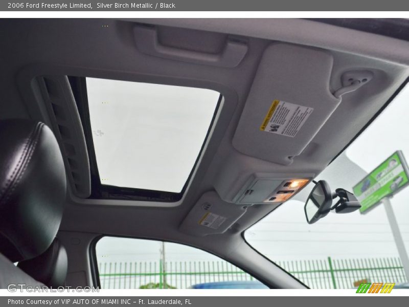 Silver Birch Metallic / Black 2006 Ford Freestyle Limited