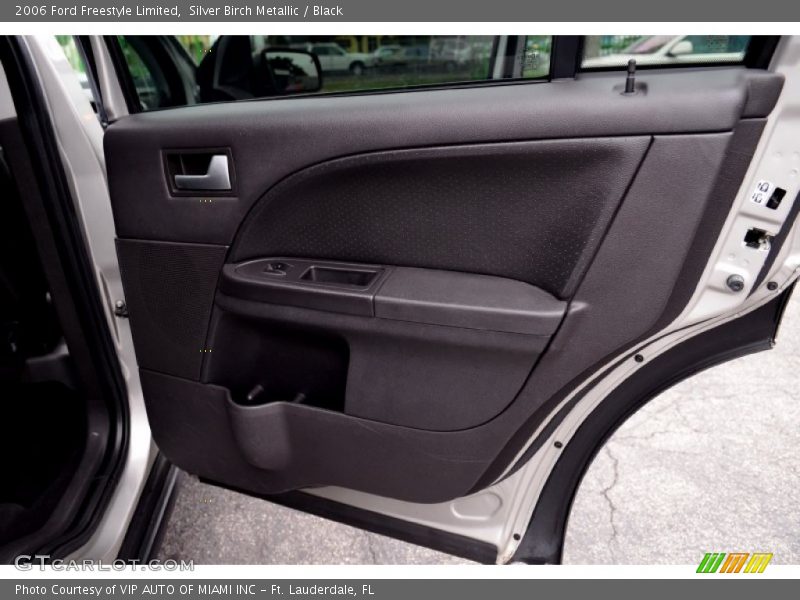 Silver Birch Metallic / Black 2006 Ford Freestyle Limited