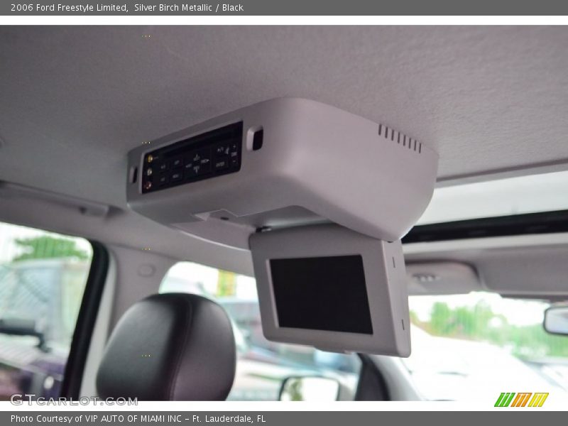 Silver Birch Metallic / Black 2006 Ford Freestyle Limited