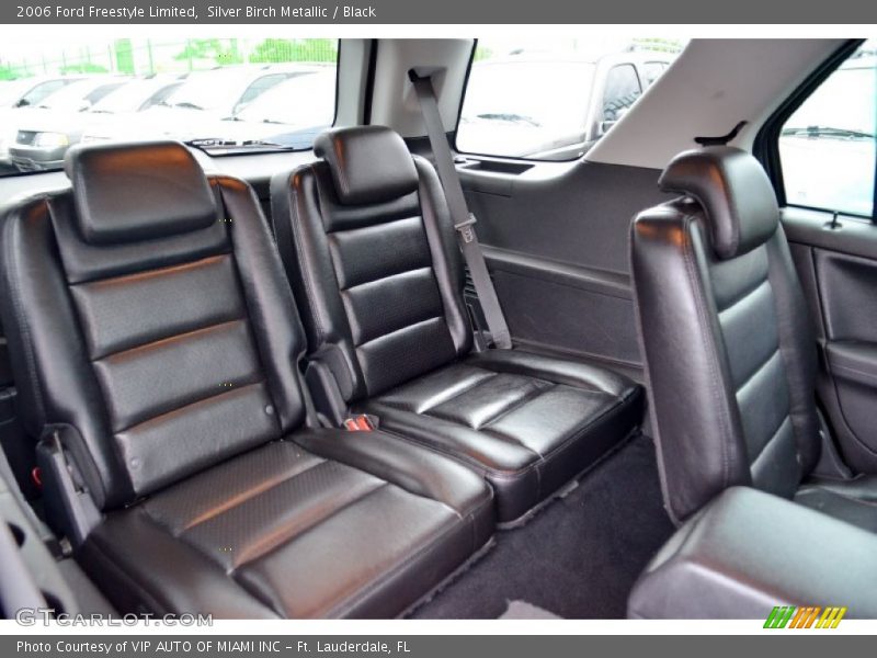 Silver Birch Metallic / Black 2006 Ford Freestyle Limited