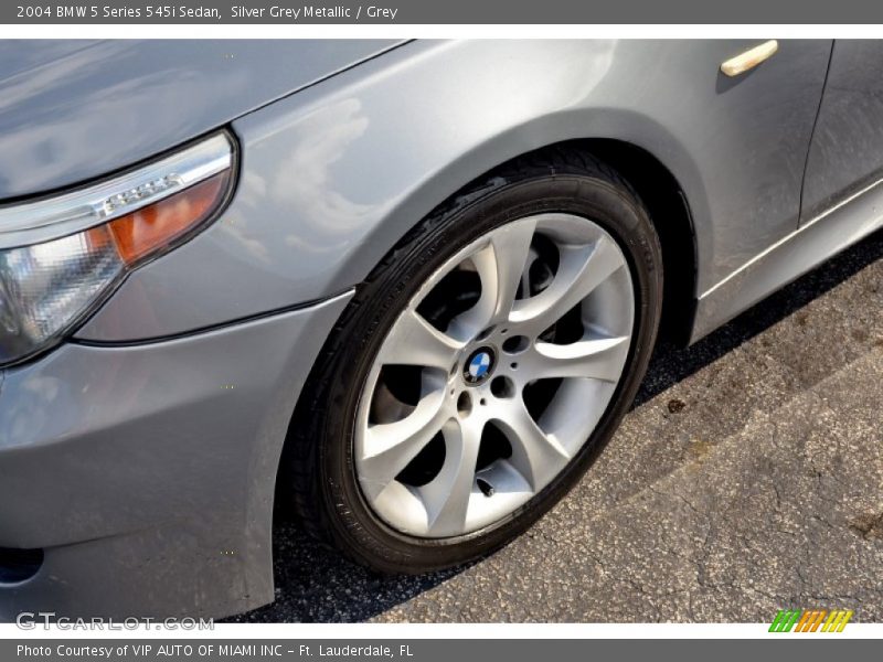 Silver Grey Metallic / Grey 2004 BMW 5 Series 545i Sedan