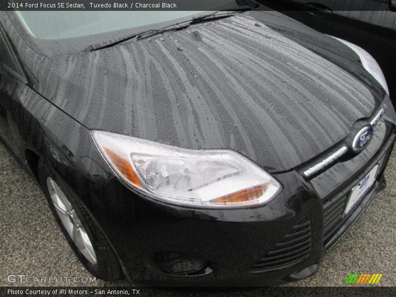 Tuxedo Black / Charcoal Black 2014 Ford Focus SE Sedan