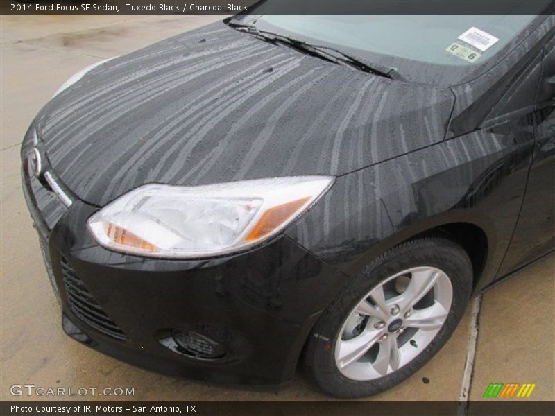 Tuxedo Black / Charcoal Black 2014 Ford Focus SE Sedan
