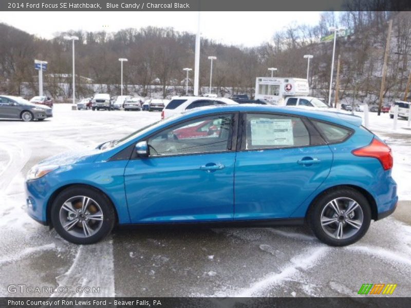 Blue Candy / Charcoal Black 2014 Ford Focus SE Hatchback