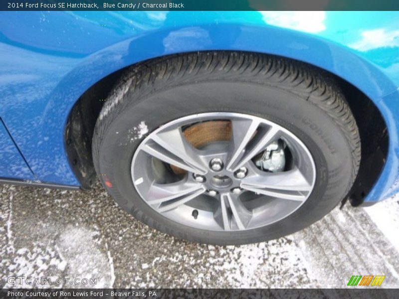 Blue Candy / Charcoal Black 2014 Ford Focus SE Hatchback